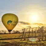 fondo globo contraluz