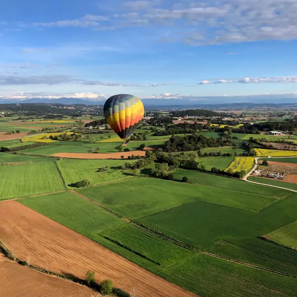 globo volando fondo verde