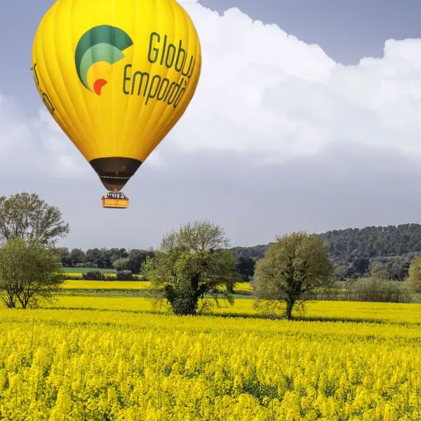globo volando sobre campo de colza