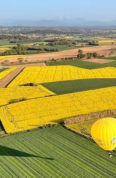 38a20986-7238-41eb-b8f0-ffff18da99dc