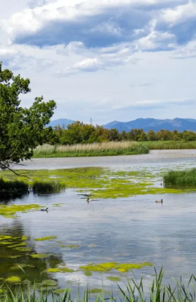 parque natural aiguamolls del emporda