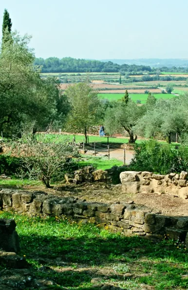 portada poblado iberic ullastret